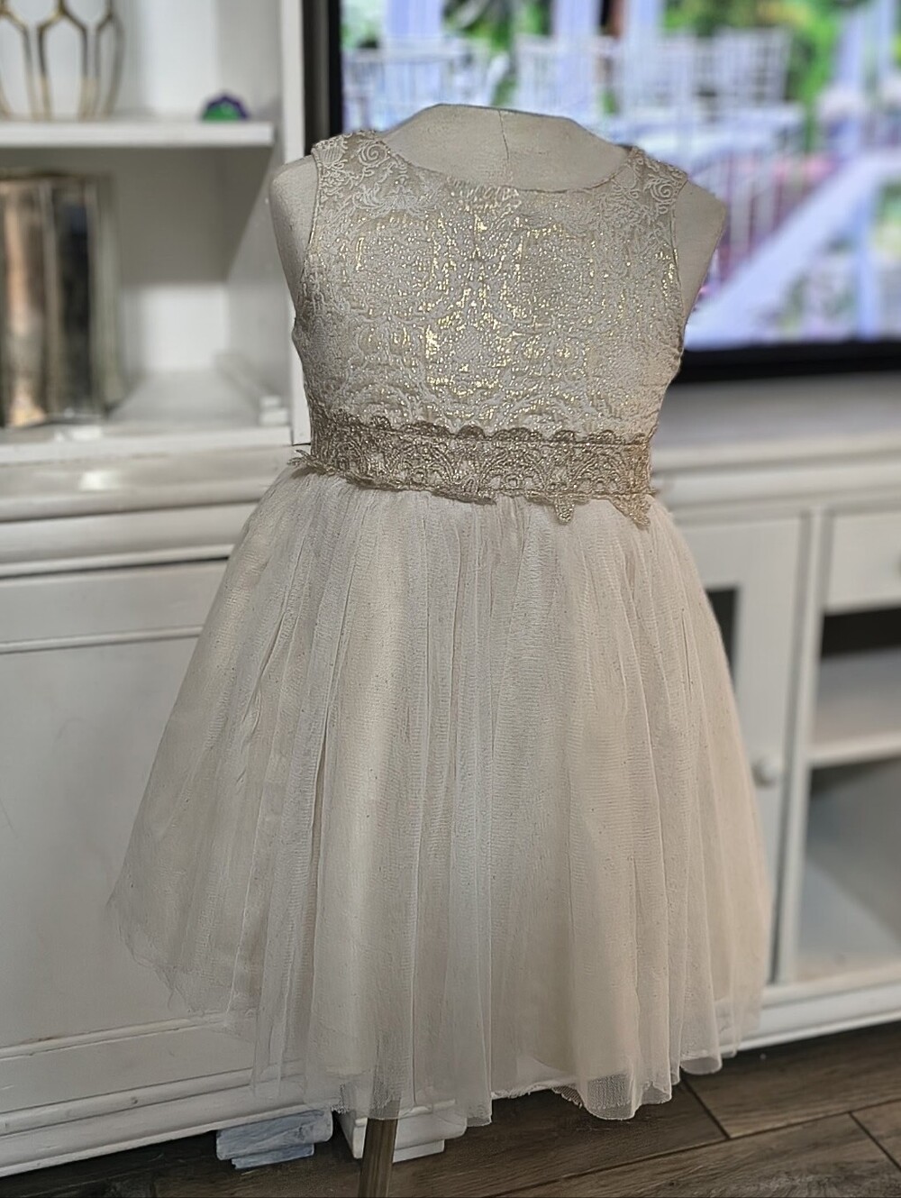 Girls' Size 5 Ivory Lace & Tulle Party Dress with Champagne And Gold Accents